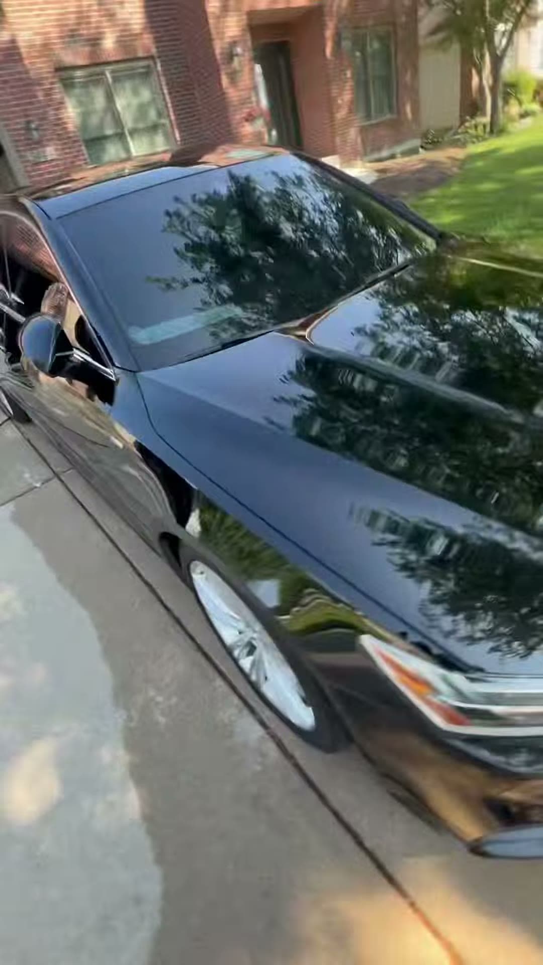 Finished black Audi reflecting trees along the paint